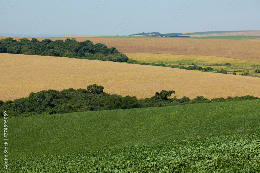 Colheita de soja na área rural de Lagoa Vermelha