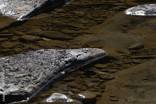 Stream, clear water, bottom, Sunny morning, stone structure, sun glare, soft focus, close-up, upper angle.