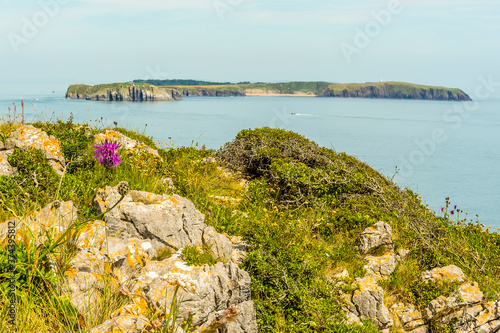 A view from the coastal path at Lydstep, Wales across the bay to Caldey island home to Cistercian Monks in early summer photo