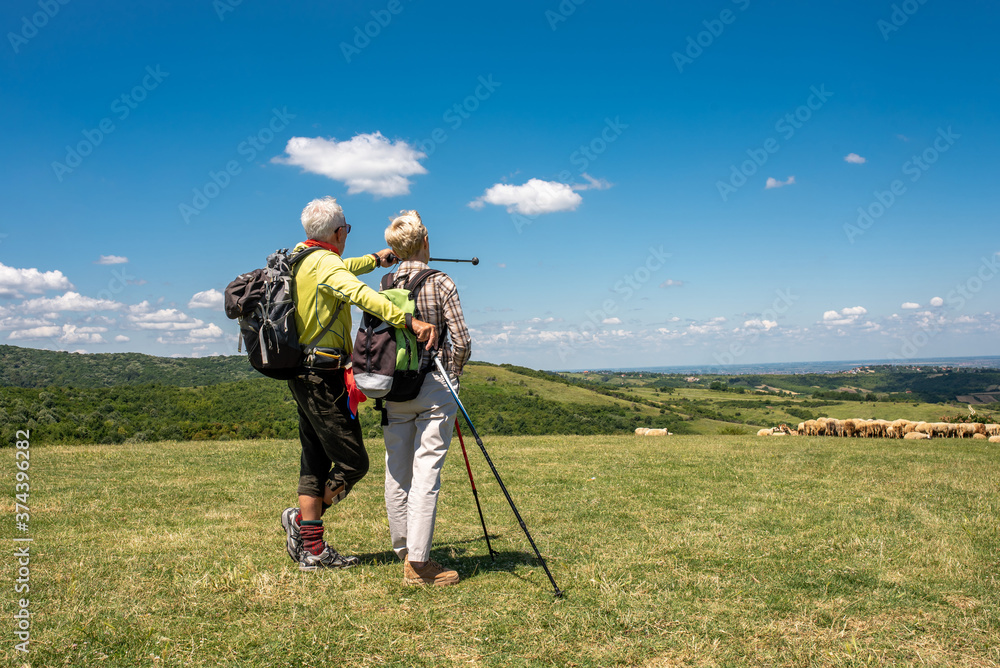 Senior Caucasian couple hiking in mountains with flock of sheep and beautiful landscape in the background