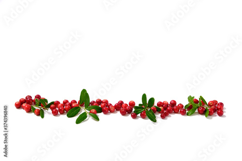 cranberries on white background