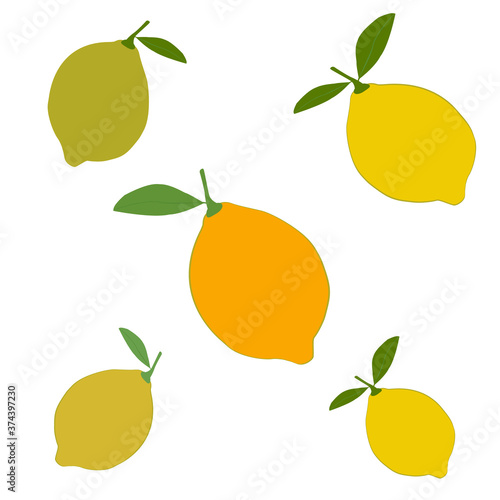 Yellow lemon. Whole ripe lemon. Vector illustration