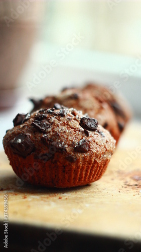 chocolate muffins with pieces of chocolate on the wooden board