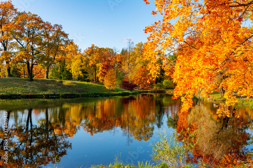 Autumn foliage in Alexander park, Tsarskoe Selo (Pushkin), St. Petersburg, Russia