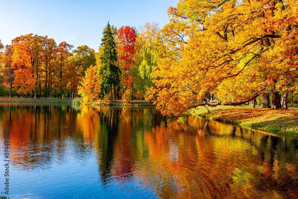 Autumn foliage in Alexander park, Tsarskoe Selo (Pushkin), St. Petersburg, Russia