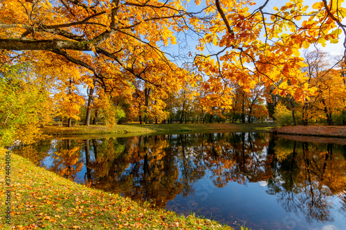 Autumn foliage in Alexander park  Tsarskoe Selo  Pushkin   St. Petersburg  Russia