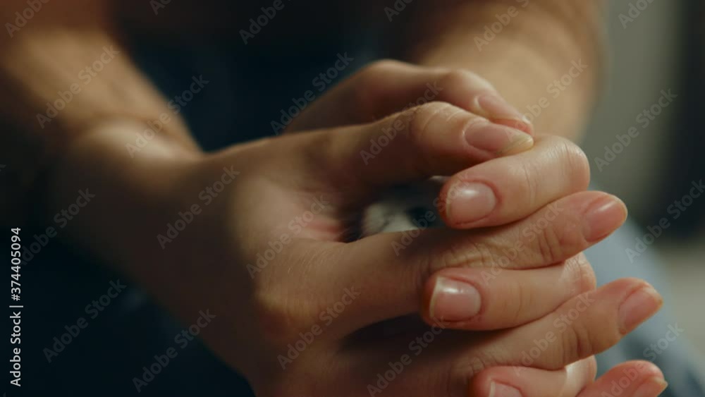 Young girl in brown sweater and jeans sits on beige sofa and holds white hamster between her fingers. Animal climbs out and runs on his hand. Close-up. Young girl in brown sweater and jeans sits on beige sofa and holds white hamster between her fingers. Animal climbs out and runs on his hand. Close-up.