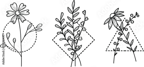 Hand drawn flowers set. Minimalistic vector sprig