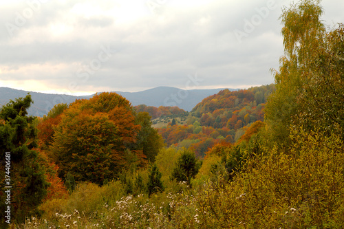 Fototapeta Naklejka Na Ścianę i Meble -  Jesienny krajobraz