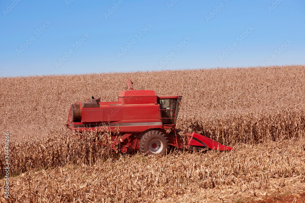 Fototapeta premium Colheita mecanizada de milho