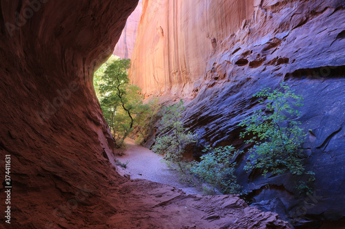Fuzzy Caterpillar gorge, a slot canyon on the Burr Trail in the Grand Staircase escalante national monument in Southern Utah photo
