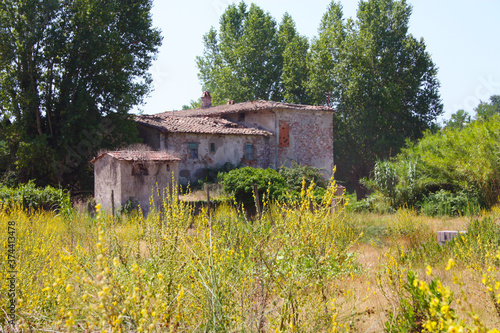 rustic residential ruin abandoned in a green landscape in a Tuscan field