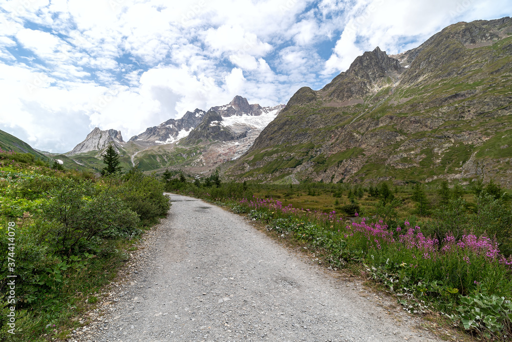 Pink flowers Val Veny - Courmayeur - Valle d'Aosta - Italy
