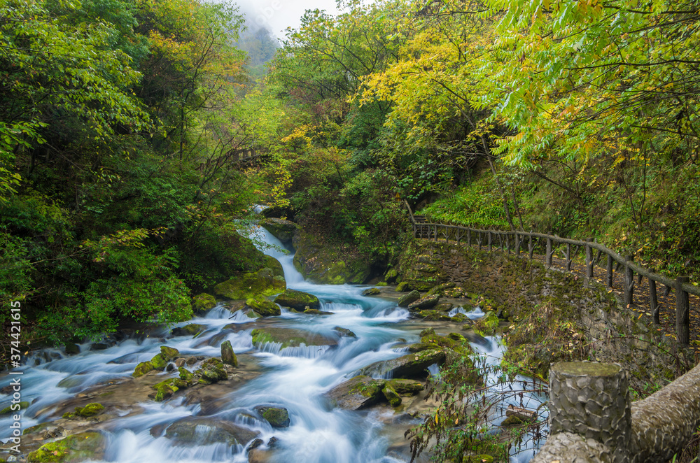 Autumn scenery of Hubei Shennongjia National Geopark Scenic Area, China Autumn scenery of Hubei Shennongjia National Geopark Scenic Area, China