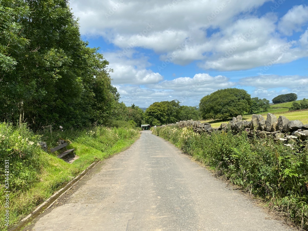 A country lane, with a bench, dry stone walls, trees and fields near, Trawden Forest, Colne, UK