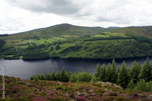 Landscapes of Ireland. Summer on the shore of Lake Dan.