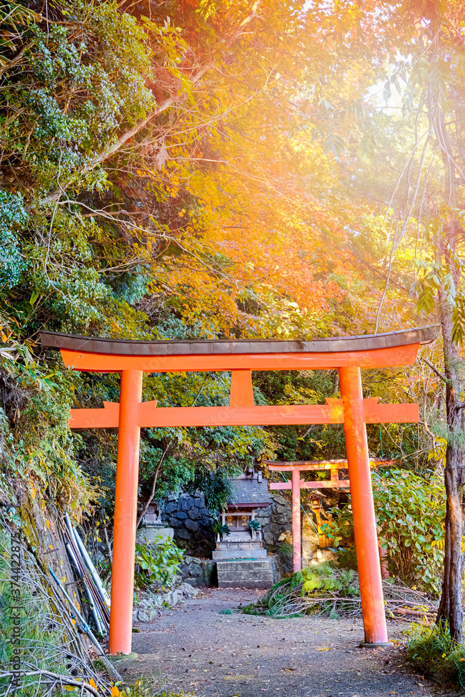 Japan Travel Destnations. Traditional Red Torii Gates with Walkway To Shrine at Koyasan Mountain in Japan in Fall.