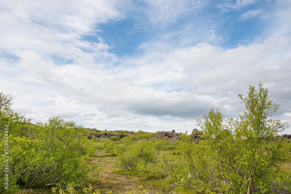 Dimmuborgir nature reserve in Myvatn area in Iceland