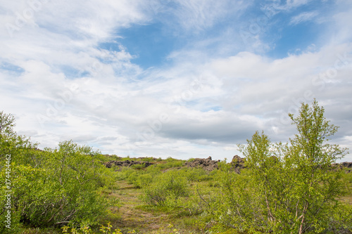 Dimmuborgir nature reserve in Myvatn area in Iceland