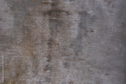 Wallpaper Mural Wooden texture with natural wood pattern Torontodigital.ca