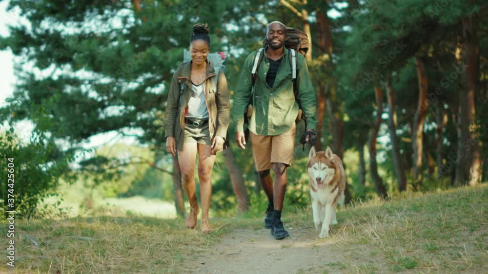 Couple of romantic black man and woman taking their Husky dog on summer travel exploring wild forests nature in team. Families. Tourism. Recreation. Hiking. Couple of romantic black man and woman taking their Husky dog on summer travel exploring wild forests nature in team. Families. Tourism. Recreation. Hiking.