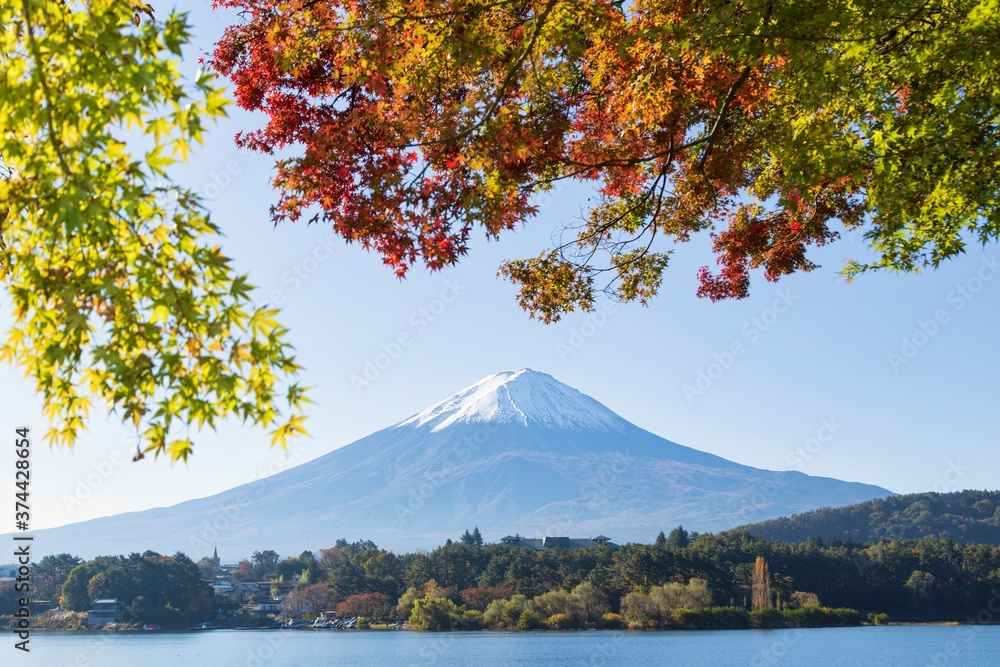 Naklejka premium 富士山と紅葉