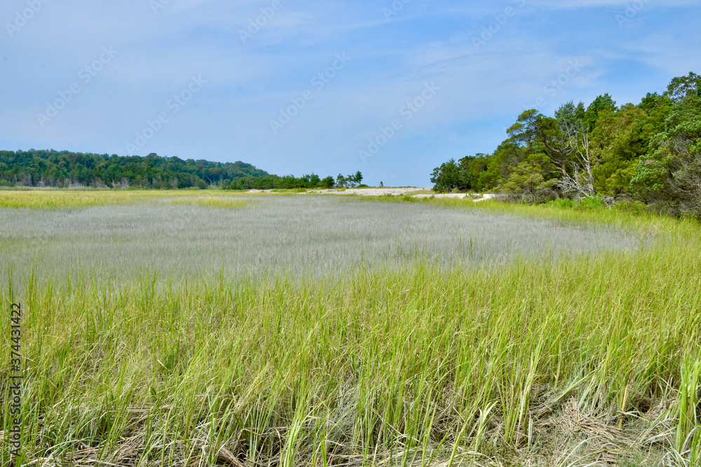 A beautiful expanse of tidal wetlands at Flax Pond, a tidal estuary on the north shore of Long Island, NY.  Copy space.