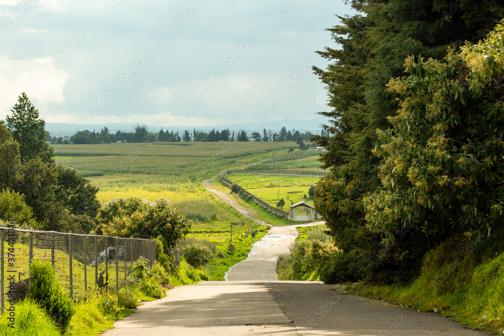 Fototapeta premium empty road at countryside