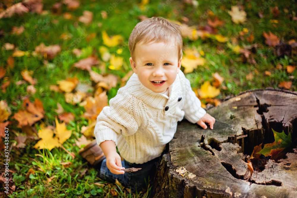 A small boy sits on a wooden stump while walking through the forest on an autumn day. Active family time in nature. Hiking with young children A small boy sits on a wooden stump while walking through the forest on an autumn day. Active family time in nature. Hiking with young children