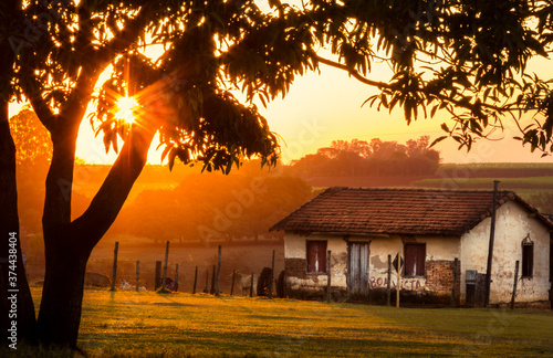 pôr-do-sol com árvore, casa velha na fazenda com e gramado verde photo