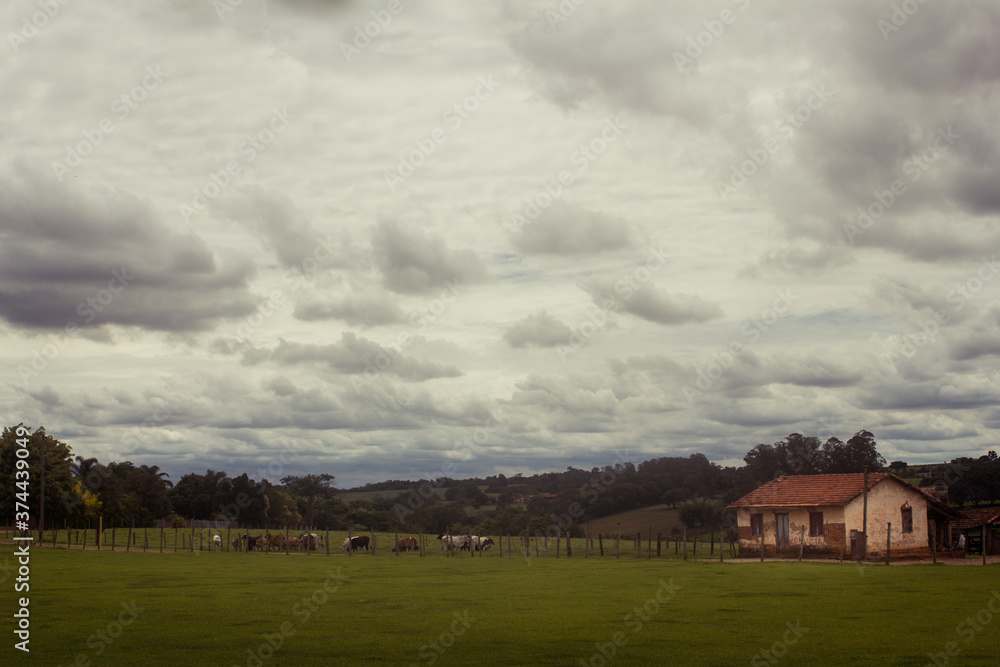 rural landscape with house in the background