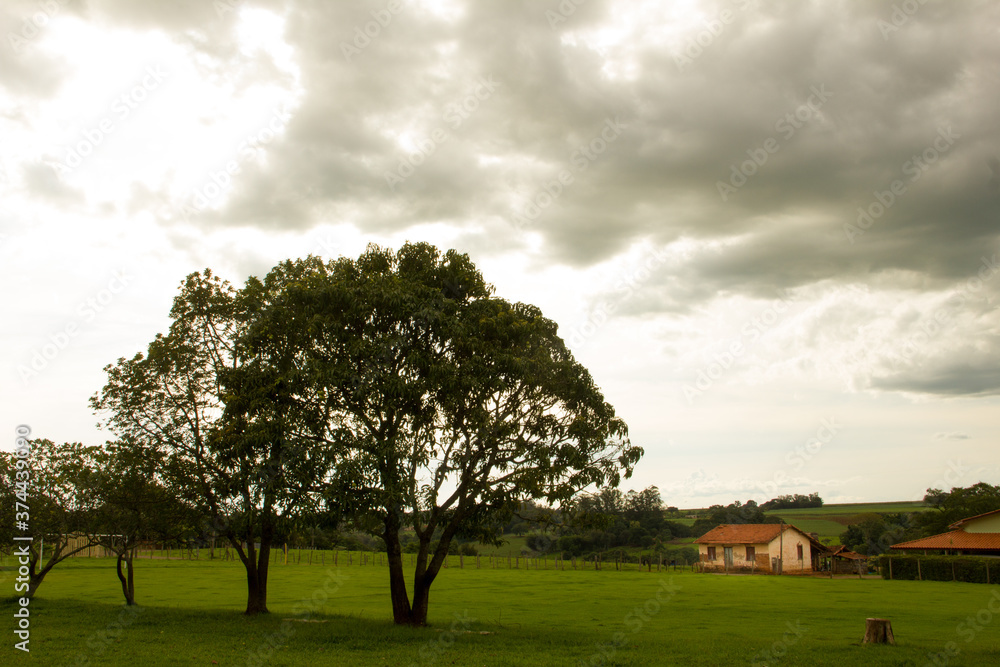 rural landscape with trees and a house rural landscape with trees and a house