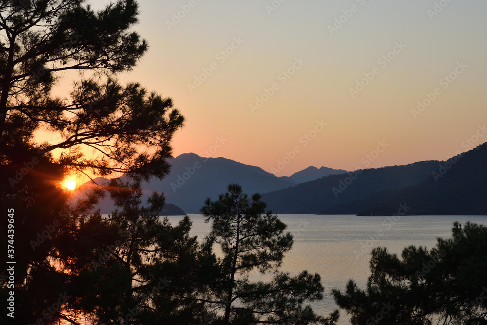 Pine trees in the morning sun rising from behind the mountains on the sea coast Pine trees in the morning sun rising from behind the mountains on the sea coast