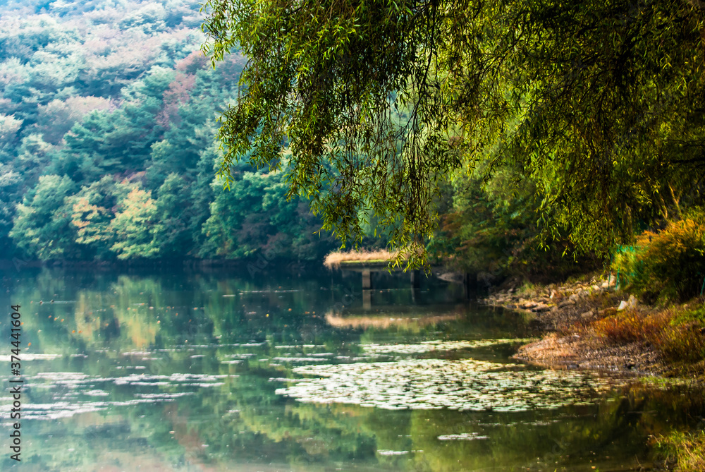The beautiful lake with mountain forest. The beautiful lake with mountain forest.