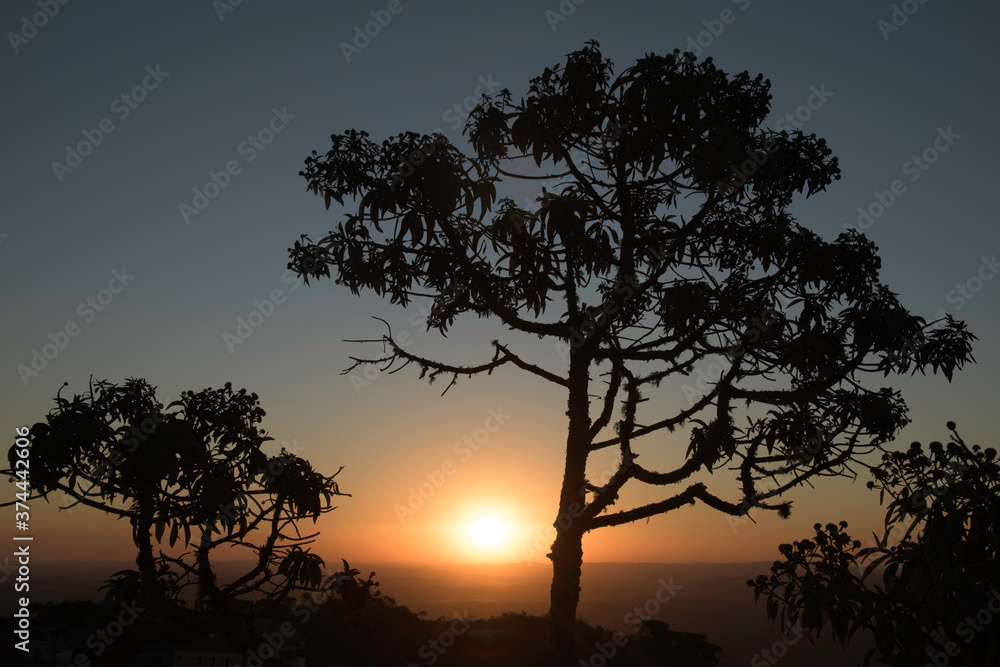 Trees Silhouettes at Sunset in the Mountains in Brazil