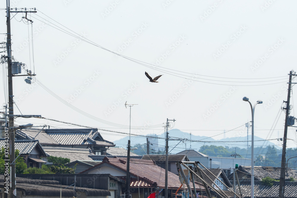 A raptor flies through the port city of Osaka, Japan on August 21, 2020.