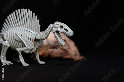 Kids toy dinosaur skeleton © Ксения Дудниченко