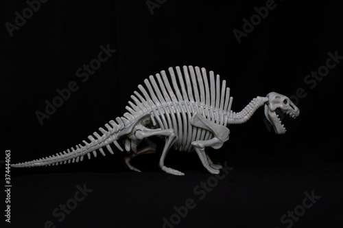  Kids toy dinosaur skeleton © Ксения Дудниченко