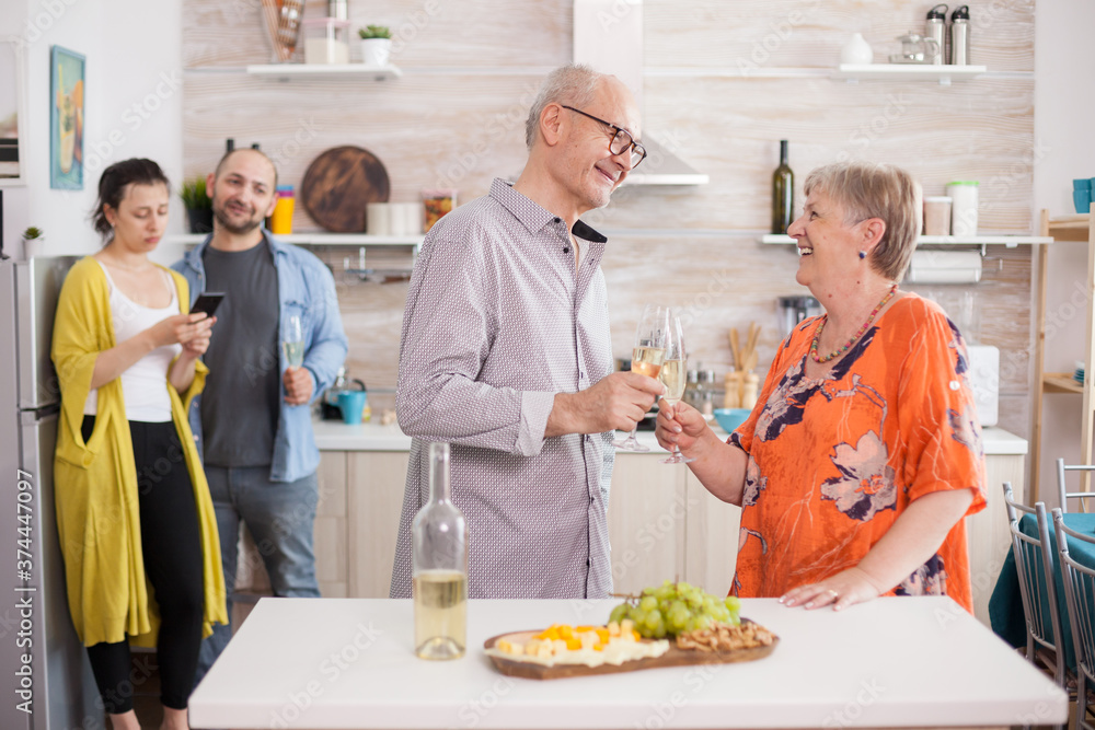 Senior couple toasting wine glasses in kitchen during family brunch. Appetizer with various cheese. Old man and woman looking at each other. Senior couple toasting wine glasses in kitchen during family brunch. Appetizer with various cheese. Old man and woman looking at each other.