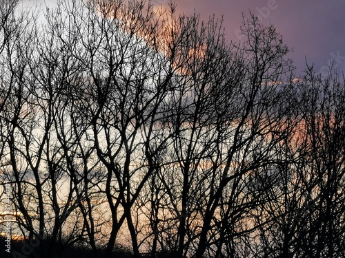 Levée de soleil (Bonnelles)