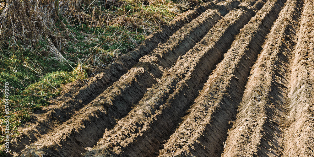 Deep ploughed furrows at the edge of a sandy field are thrown into