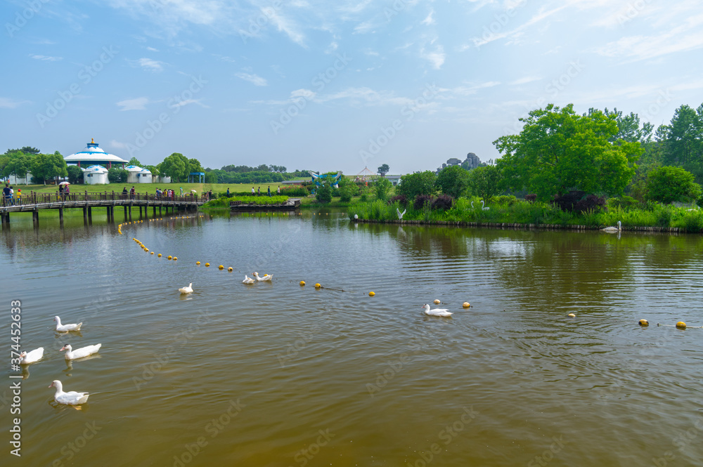 Early Summer scenery of Mulan grassland Scenic spot in Wuhan, Hubei Province, China Early Summer scenery of Mulan grassland Scenic spot in Wuhan, Hubei Province, China