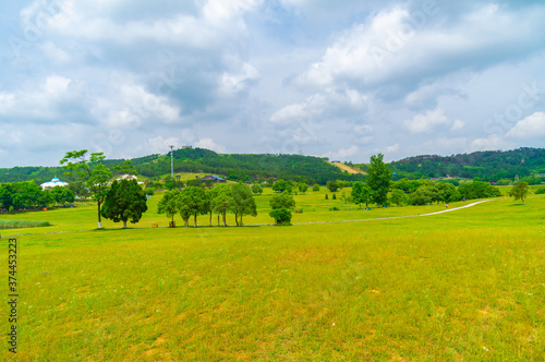 Early Summer scenery of Mulan grassland Scenic spot in Wuhan, Hubei Province, China