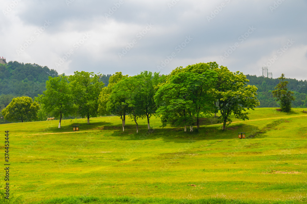 Obraz premium Early Summer scenery of Mulan grassland Scenic spot in Wuhan, Hubei Province, China