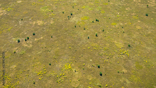 Aerial top down view from drone of field surface at summer day in the countryside. Natural foliage background.