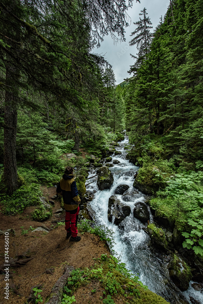 Fototapeta premium man stand between trees