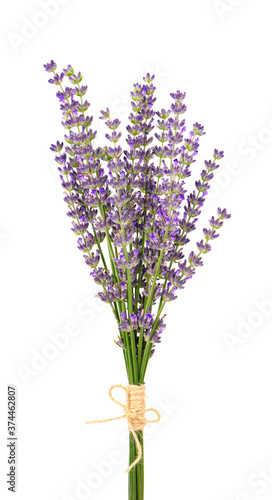 Bunch of lavender flowers  isolated on white background. Petals of lavender flowers. Medicinal herbs.