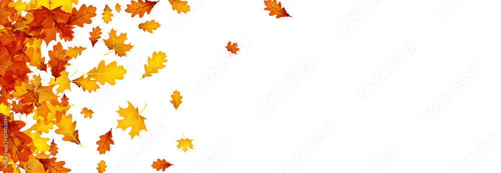 Autumn gold oak and maple leaves. - obrazy, fototapety, plakaty 