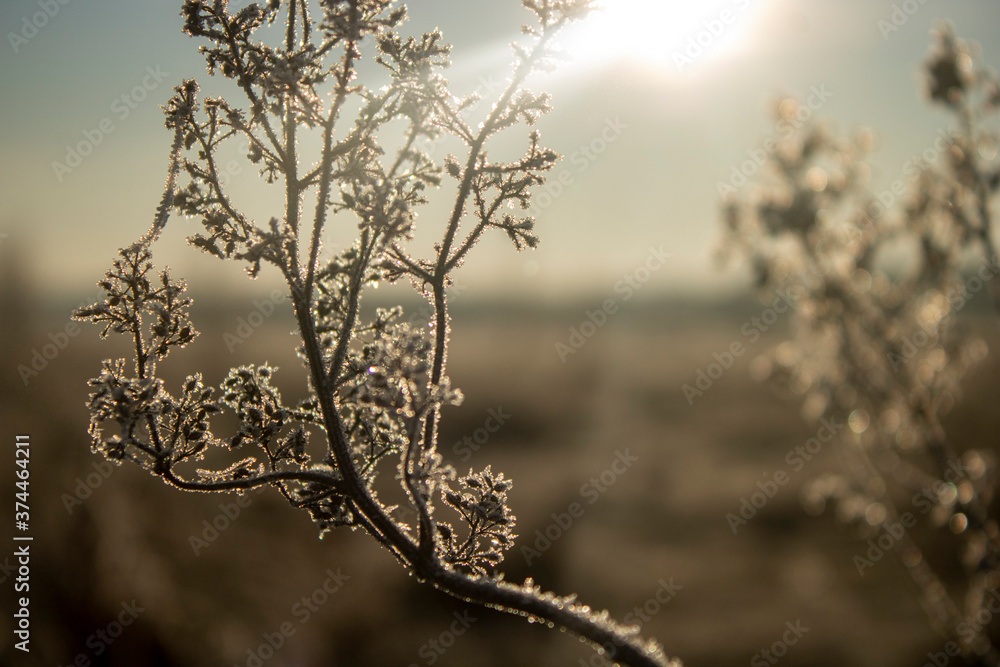 Obraz premium sunset in the snow