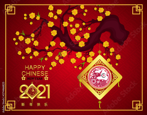 Happy chinese new year 2021 with cherry blossom flower year of the Ox